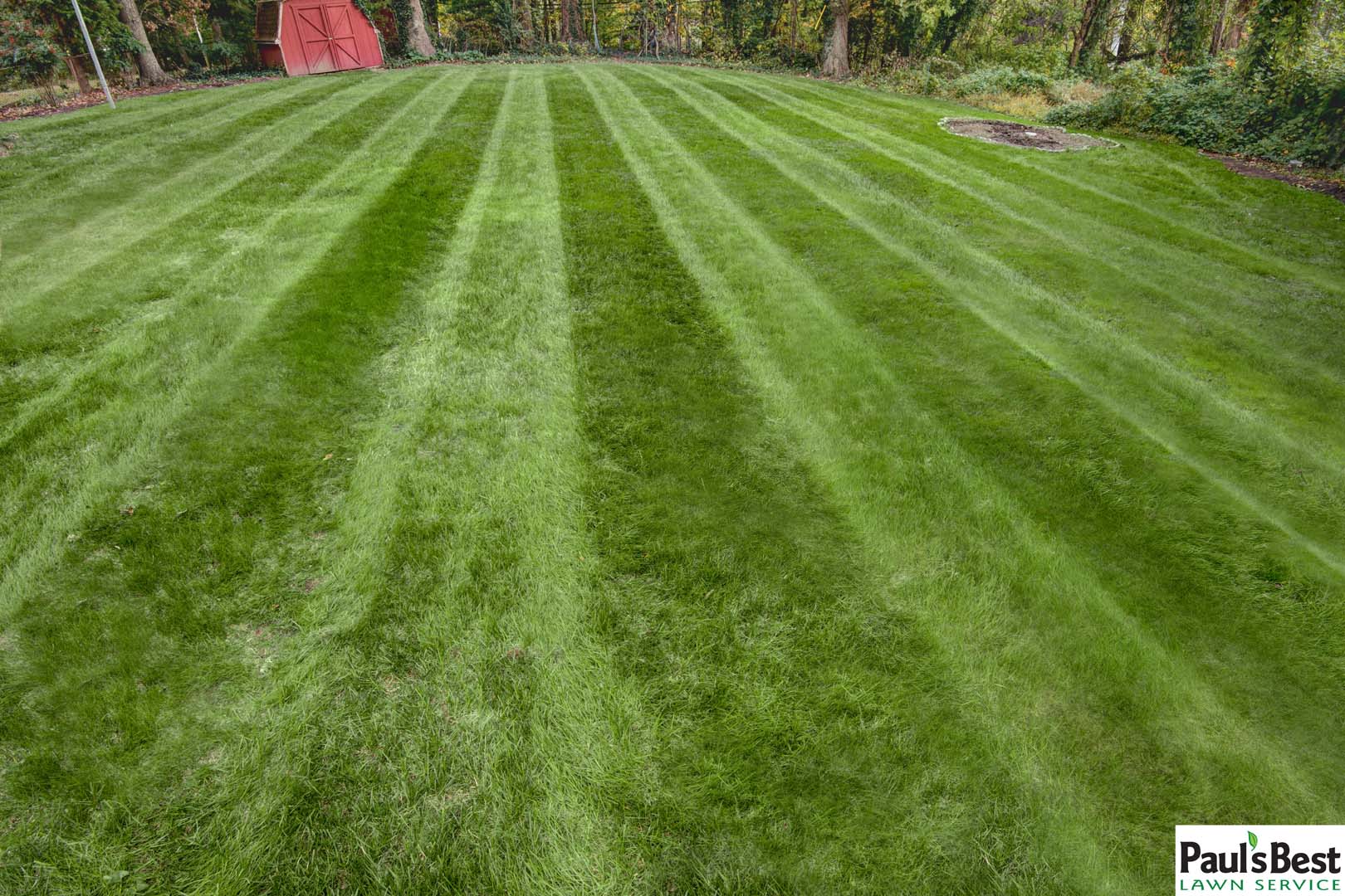 best lawn treatment