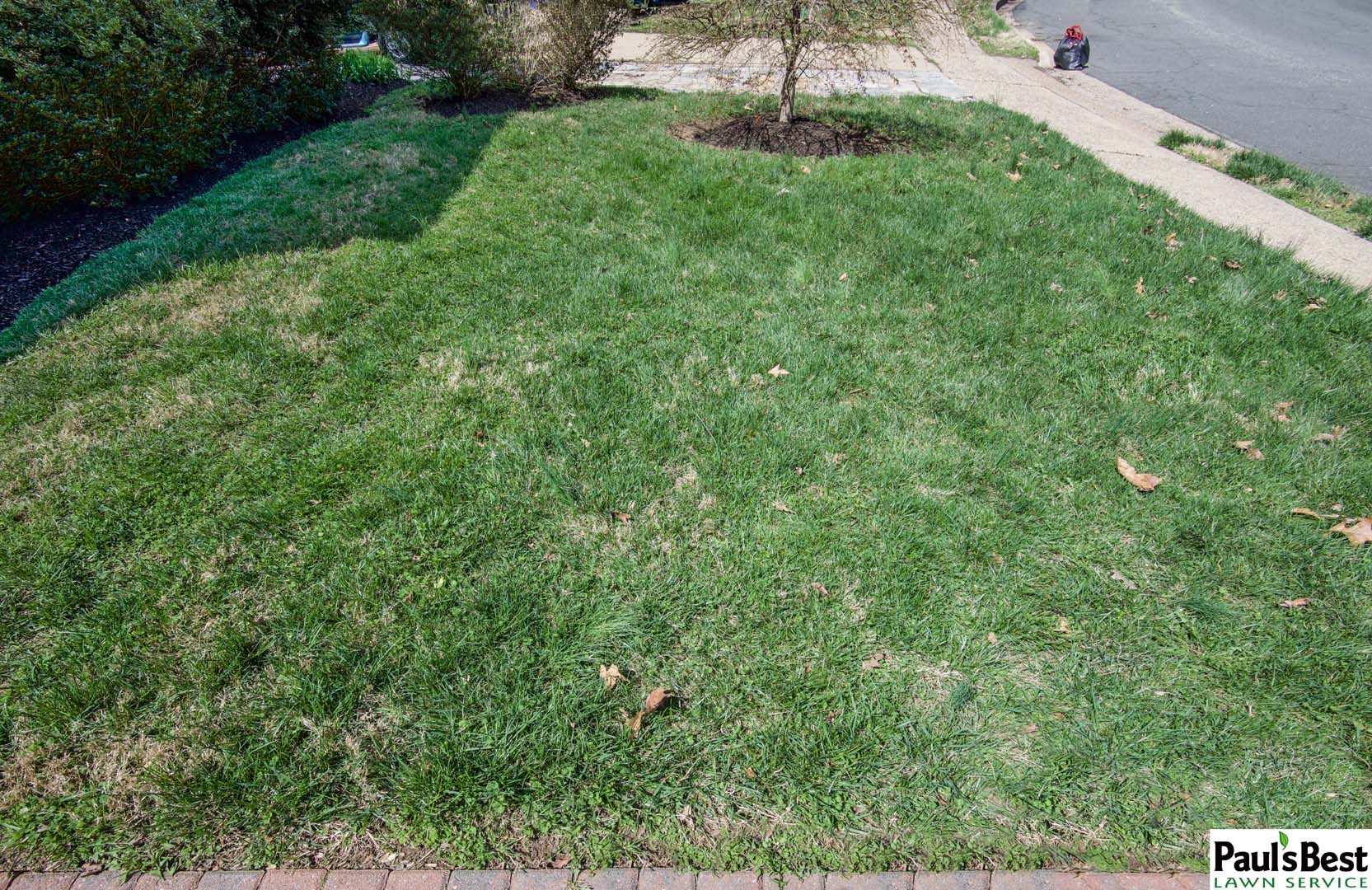 https://paulsbestlawn.com/pbls-img/portfolio/lawn-mowing-lawn-fertilization-and-treatment/before-and-after/web-ready/large/BALM1-f-After-2-Years-of-Pauls-Best-Turf-Care-Program-With-Mowing-in-Arlington-VA.jpg