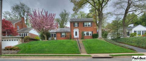 Lawn Maintenance and Turf-Care Arlington VA | Your Not-So-Average Lawn on Your Average Hilly Lot in Arlington, VA