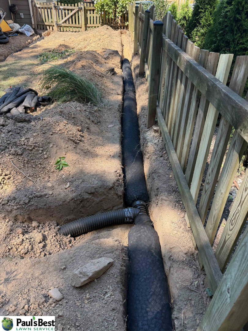 https://paulsbestlawn.com/pbls-img/portfolio/other-services/before-and-after/web-ready/large/batch_BAOD-2-After-drainage-and-planting.webp
