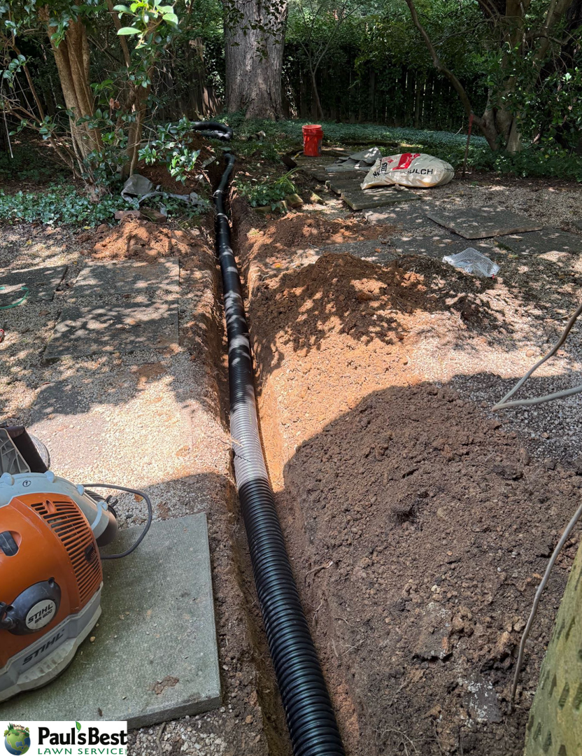 https://paulsbestlawn.com/pbls-img/portfolio/other-services/before-and-after/web-ready/large/batch_BAOD-6-After-drainage.webp